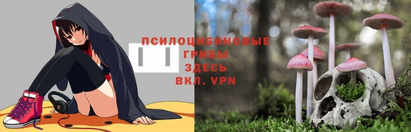 ПСИЛОЦИБИНОВЫЕ ГРИБЫ Няндома