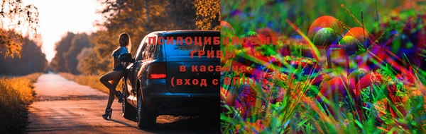 наркотики Алзамай