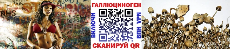 blacksprut онион купить закладку Раменское Псилоцибиновые грибы мухоморы